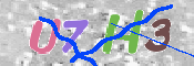 キャプチャ画像